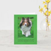 De Kaart van de Nota van Sheltie (Gele Bloem)