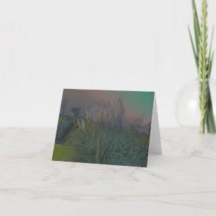 De Kaart van de Nota van Solarized van het