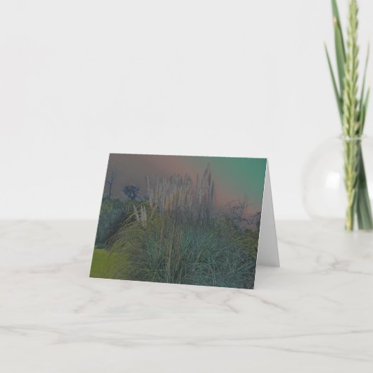 De Kaart van de Nota van Solarized van het (Voorkant)