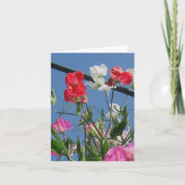 De Kaart van de Nota van Sweetpeas (Voorkant)