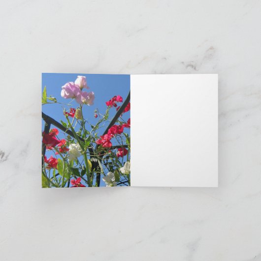 De Kaart van de Nota van Sweetpeas (Binnen)