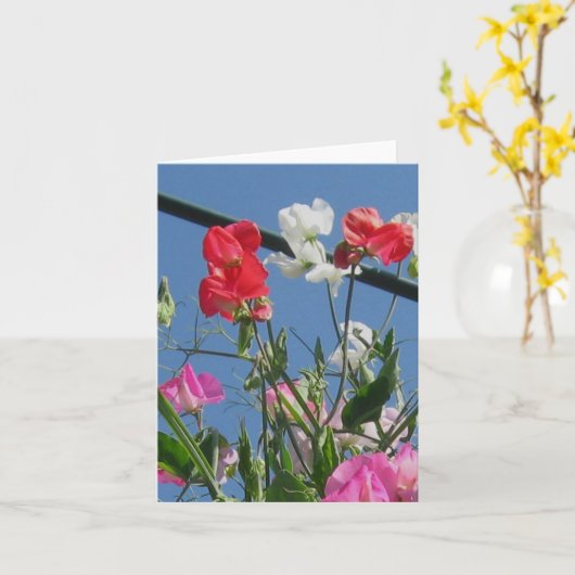 De Kaart van de Nota van Sweetpeas (Gele Bloem)