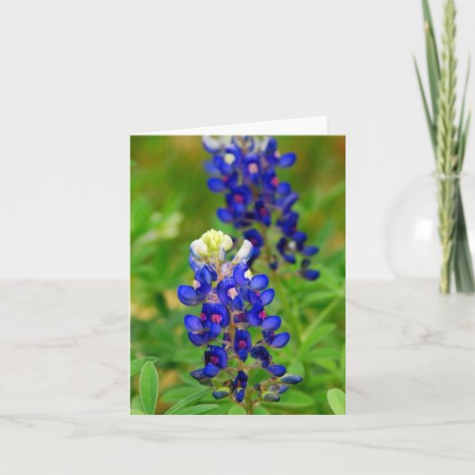 De Kaart van de Nota van Texas Bluebonnet (Voorkant)
