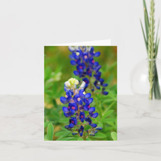 De Kaart van de Nota van Texas Bluebonnet
