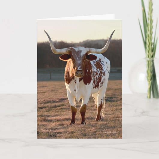 De Kaart van de Nota van Texas Longhorn (Voorkant)