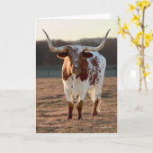 De Kaart van de Nota van Texas Longhorn (Gele Bloem)