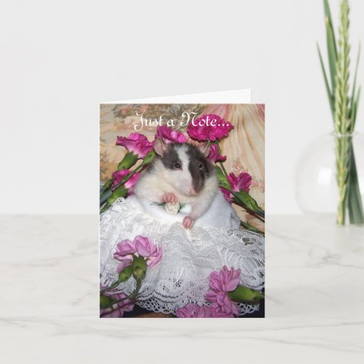 De Kaart van de Nota van Trudy (Voorkant)