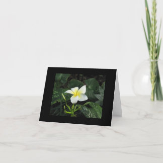 De Kaart van de Nota van "vijf Bloemblaadjes"