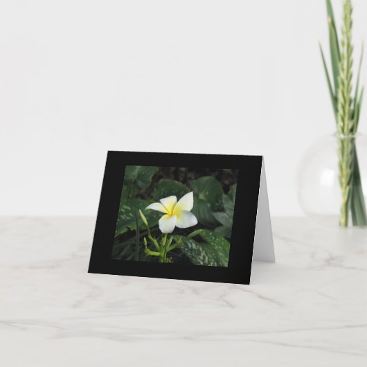 De Kaart van de Nota van "vijf Bloemblaadjes" (Voorkant)