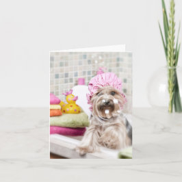 De Kaart van de Nota van Yorkie
