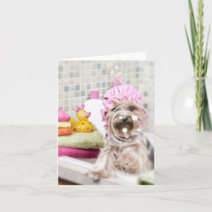 De Kaart van de Nota van Yorkie