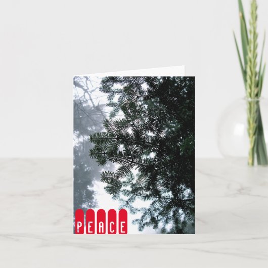 De Kaart van de nota - VREDE (Voorkant)