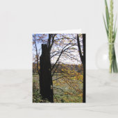 De kaart van de observatie en van de Verbeelding (Voorkant)