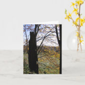 De kaart van de observatie en van de Verbeelding (Gele Bloem)