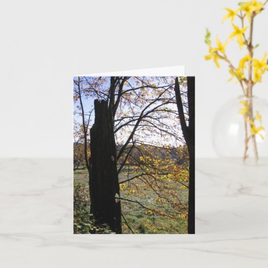 De kaart van de observatie en van de Verbeelding (Gele Bloem)