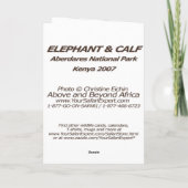 De Kaart van de olifant en van het Kalf (het Lijst (Achterkant)