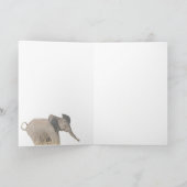 De Kaart van de olifant en van het Kalf (het Lijst (Binnen)
