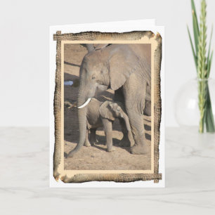 De Kaart van de olifant en van het Kalf (het Lijst
