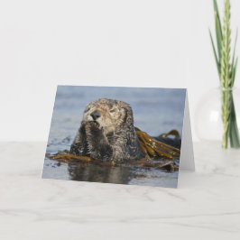 De Kaart van de Otter van het Zee van Californië -