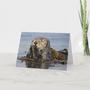 De Kaart van de Otter van het Zee van Californië -