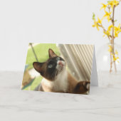 De Kaart van de pannekoek (Gele Bloem)