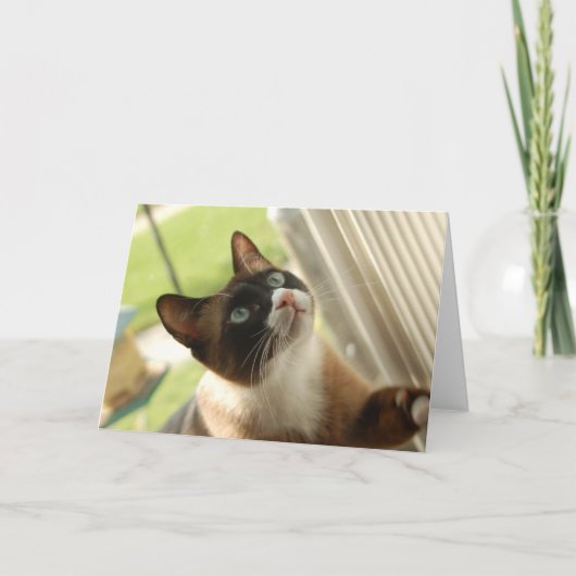 De Kaart van de pannekoek (Voorkant)