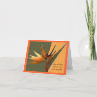 De Kaart van de paradijsvogel
