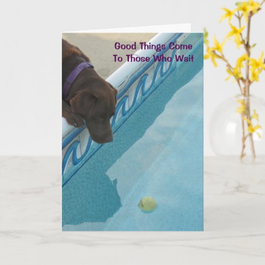 De Kaart van de pensionering voor (Gele Bloem)