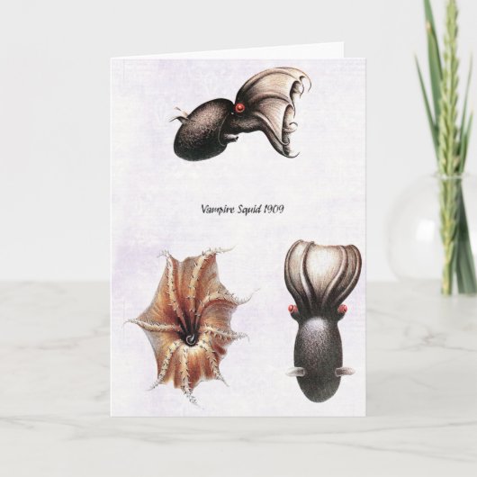 De Kaart van de Pijlinktvis van de vampier (Voorkant)