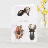 De Kaart van de Pijlinktvis van de vampier (Gele Bloem)