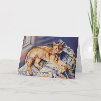 De Kaart van de "poema"