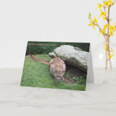 de kaart van de poemaverjaardag (Gele Bloem)