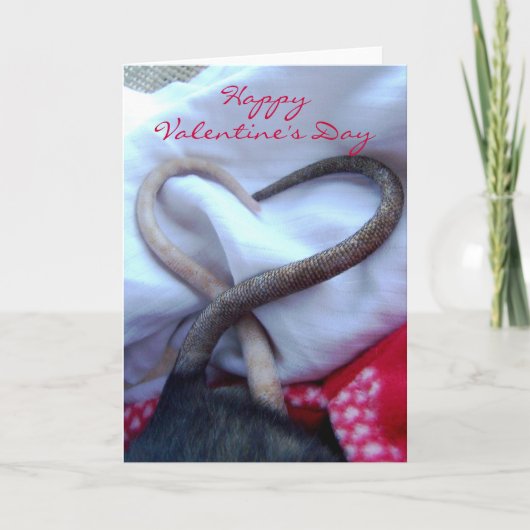 De Kaart van de Rat van de Valentijnsdag (Voorkant)