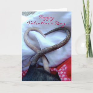De Kaart van de Rat van de Valentijnsdag