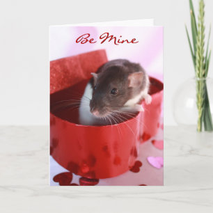 De Kaart van de Rat van Valentijn
