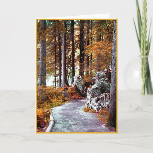 De Kaart van de reis, Tekst binnen (Voorkant)