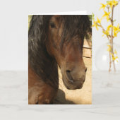 De Kaart van de Schoonheid van het Paard van (Gele Bloem)