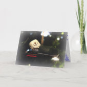 De Kaart van de Slaapzak van S'Mores (Voorkant)