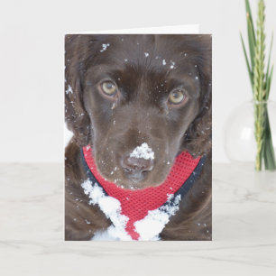 De Kaart van de Sneeuw van het Puppy van Kerstmis