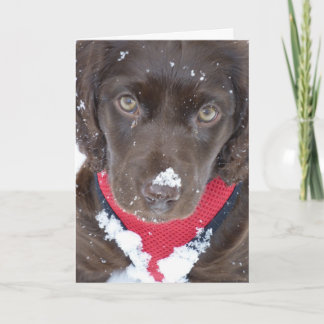 De Kaart van de Sneeuw van het Puppy van Kerstmis