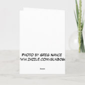 De Kaart van de struisvogel (Achterkant)