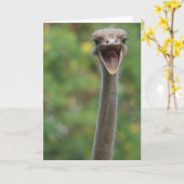 De Kaart van de struisvogel (Gele Bloem)