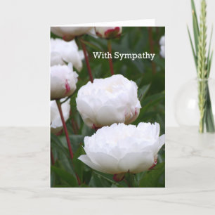 De Kaart van de sympathie