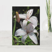 De Kaart van de sympathie (Voorkant)