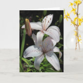 De Kaart van de sympathie (Gele Bloem)