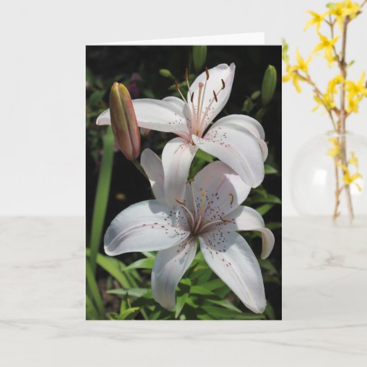 De Kaart van de sympathie (Gele Bloem)