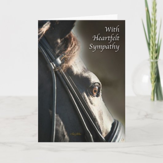 De Kaart van de sympathie (Voorkant)