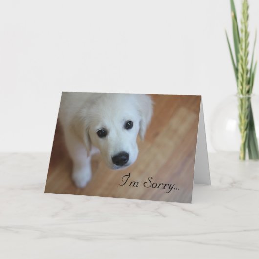 De kaart van de sympathie, ben ik Droevig voor… (Voorkant)