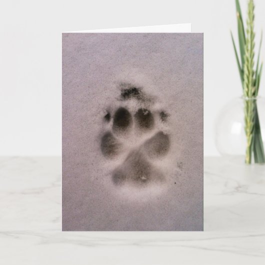 De kaart van de Sympathie of van de Redding van (Voorkant)