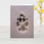 De kaart van de Sympathie of van de Redding van (Gele Bloem)